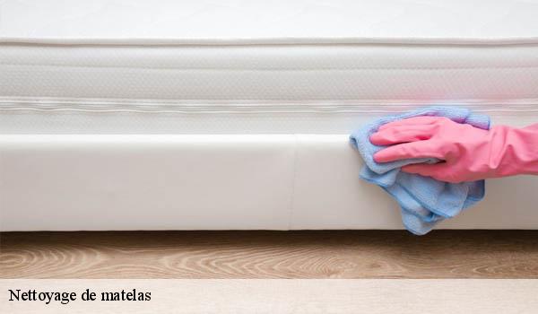Nettoyage de matelas touet-sur-var-06710 Abby & Clean