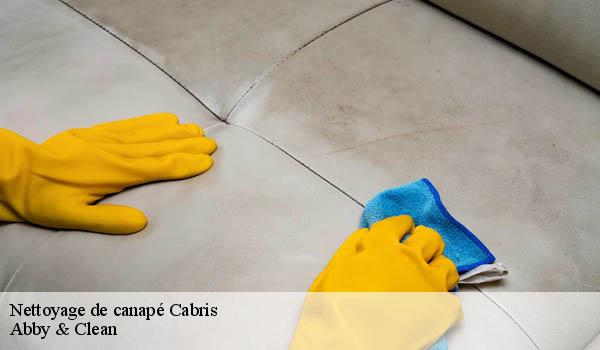Nettoyage de canapé cabris-06530 Abby & Clean