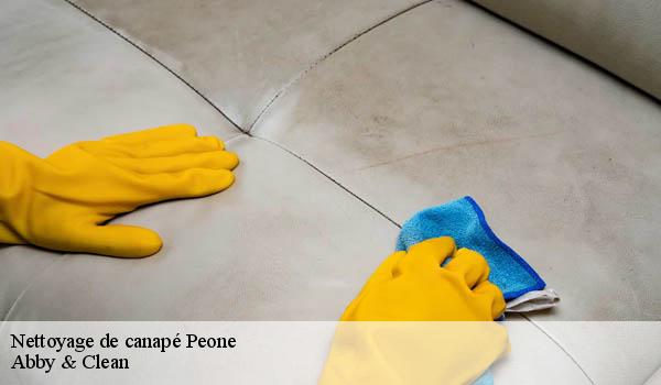 Nettoyage de canapé peone-06470 Abby & Clean