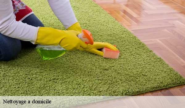 Nettoyage a domicile villeneuve-d-entraune-06470 Abby & Clean