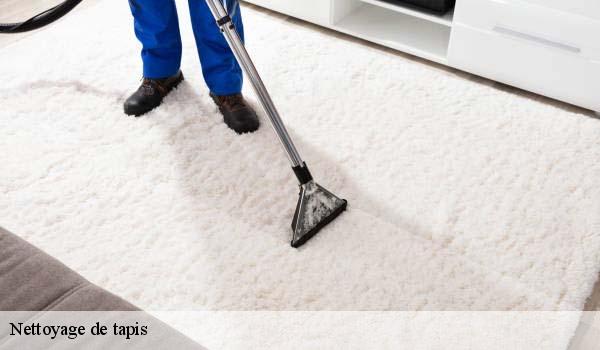Nettoyage de tapis colomars-06670 Abby & Clean