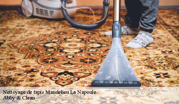 Nettoyage de tapis mandelieu-la-napoule-06210 Abby & Clean