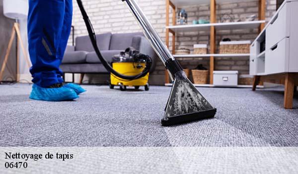 Nettoyage de tapis villeneuve-d-entraune-06470 Abby & Clean